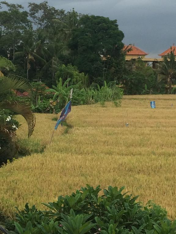 Pangkung House Ubud